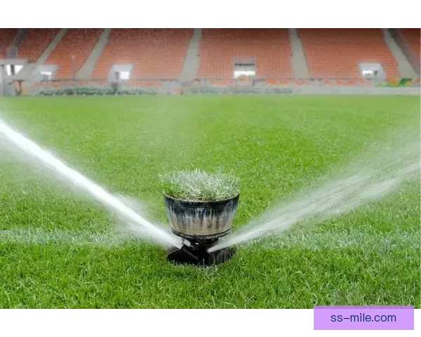 2026世界杯引入高科技传感器实时监测球场草坪湿度