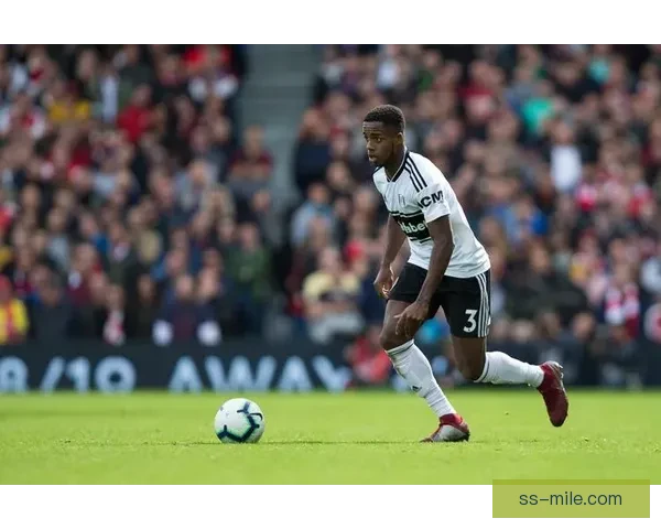 塞塞尼翁合同到期离开热刺重返富勒姆开启新篇章